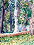 watercolor-birch